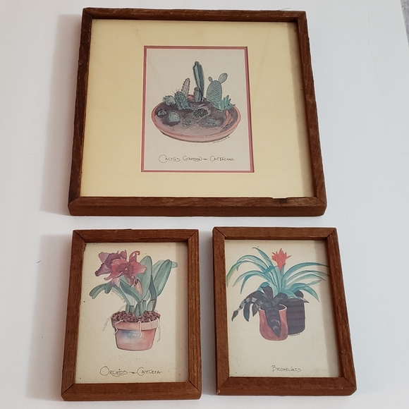 Vintage Plant Water Color Art Dandeleau 1976